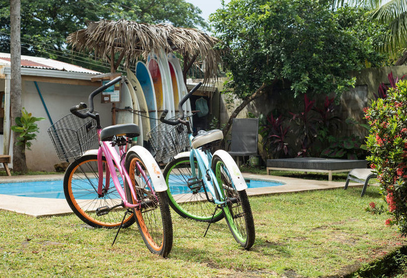 Maoritsio Garden Studios