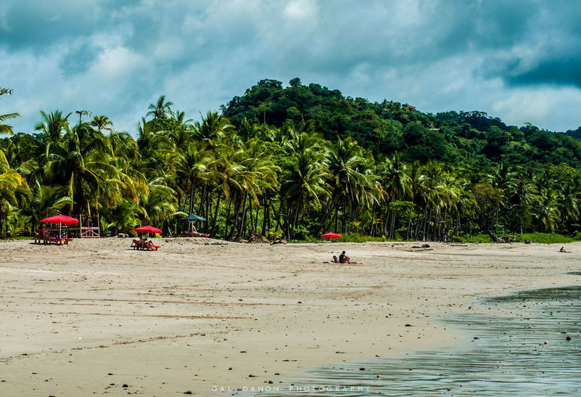 Maoritsio Garden Studios