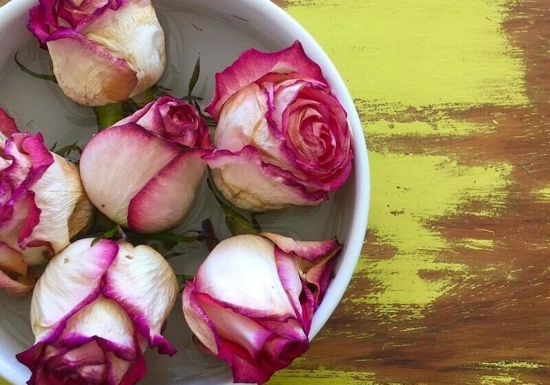 Sirena Serena B&b Retreat