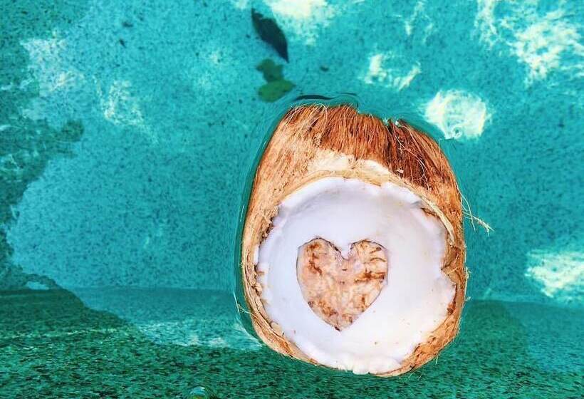 Sirena Serena B&b Retreat