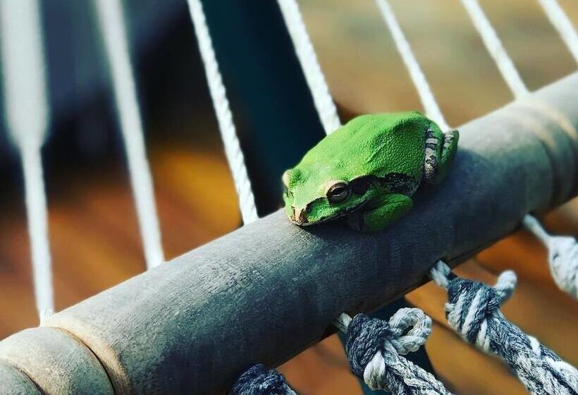 Sirena Serena B&b Retreat