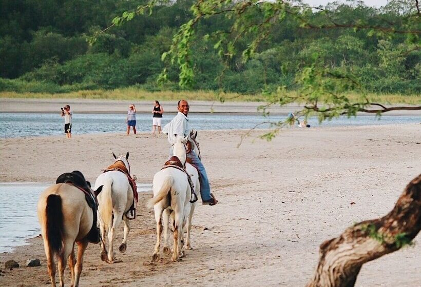 Sirena Serena B&b Retreat