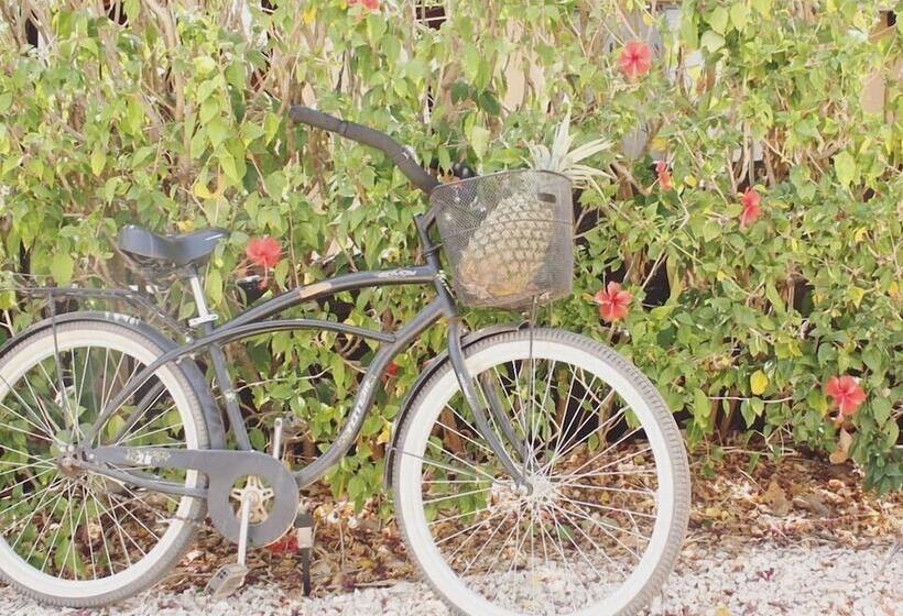 Sirena Serena B&b Retreat