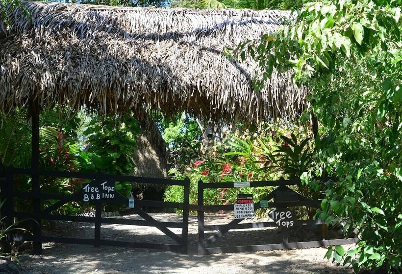住宿加早餐  Treetops Inn