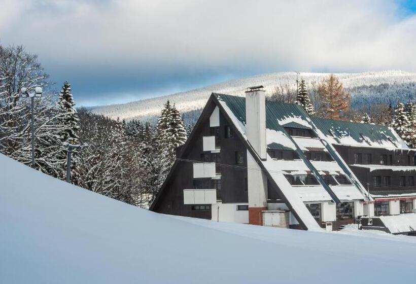 Wellness Hotel šedý Vlk