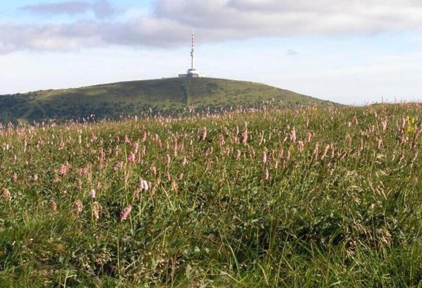 Wellness Hotel Sauna