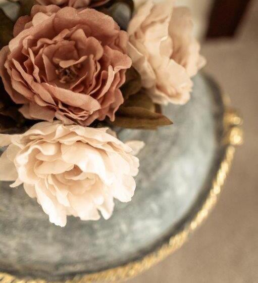 בית מלון כפרי Sen