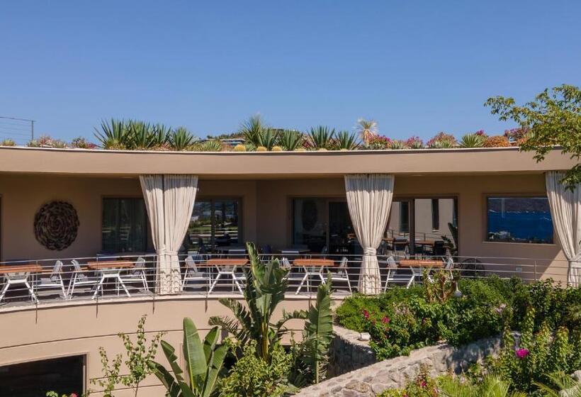 호텔 Ailla Yalıkavak