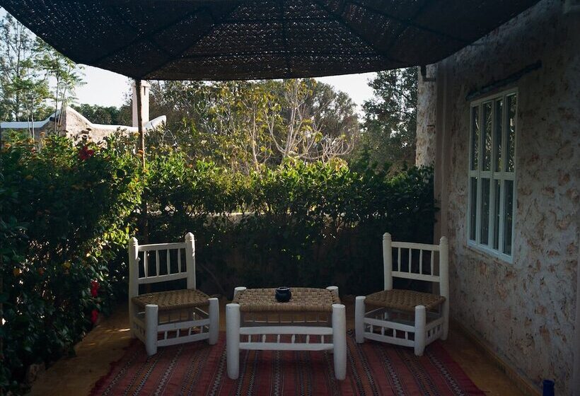 هتل Out Of Medina