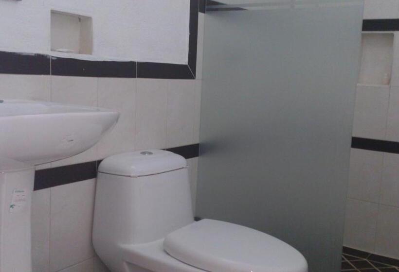 فندق Albatros Palace