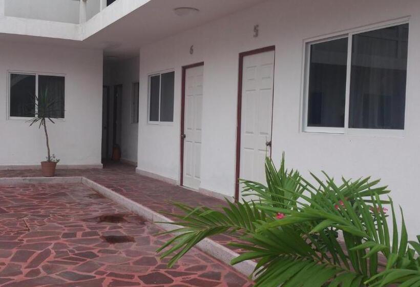 فندق Albatros Palace