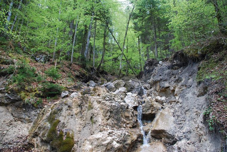 Отель Armona Medical Alpinresort