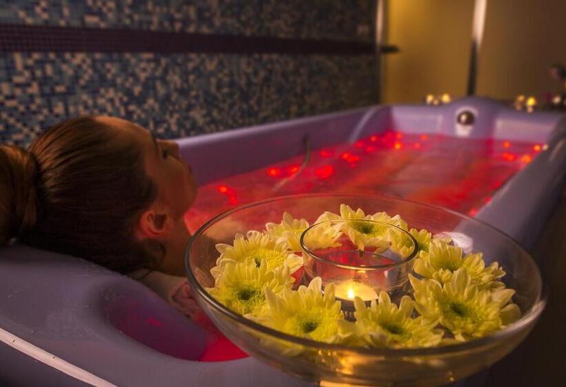 호텔 Bristol Vila Tereza