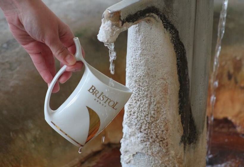 호텔 Bristol Vila Tereza