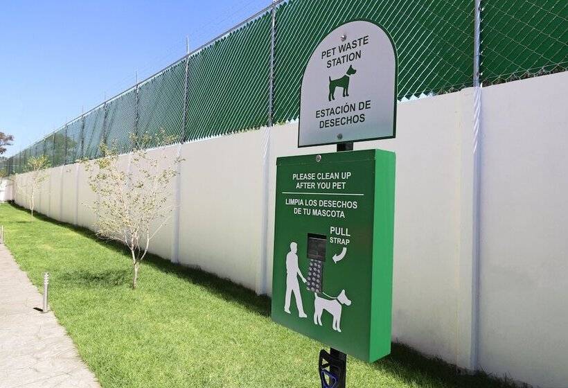 Отель Candlewood Suites Celaya By Ihg