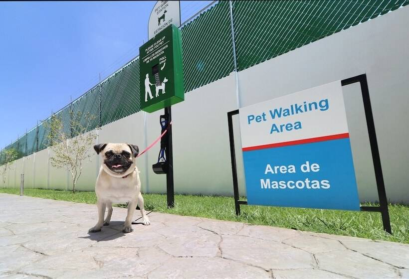 Отель Candlewood Suites Celaya By Ihg