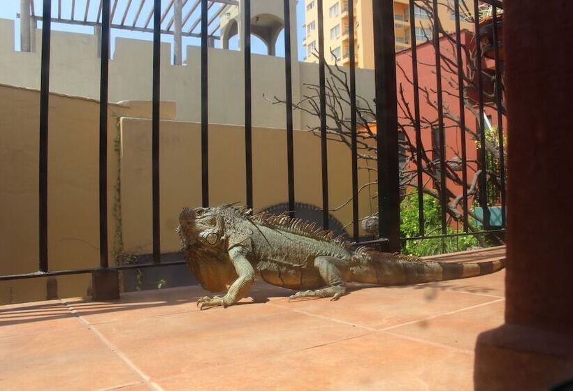 בית מלון כפרי Casa De Leyendas