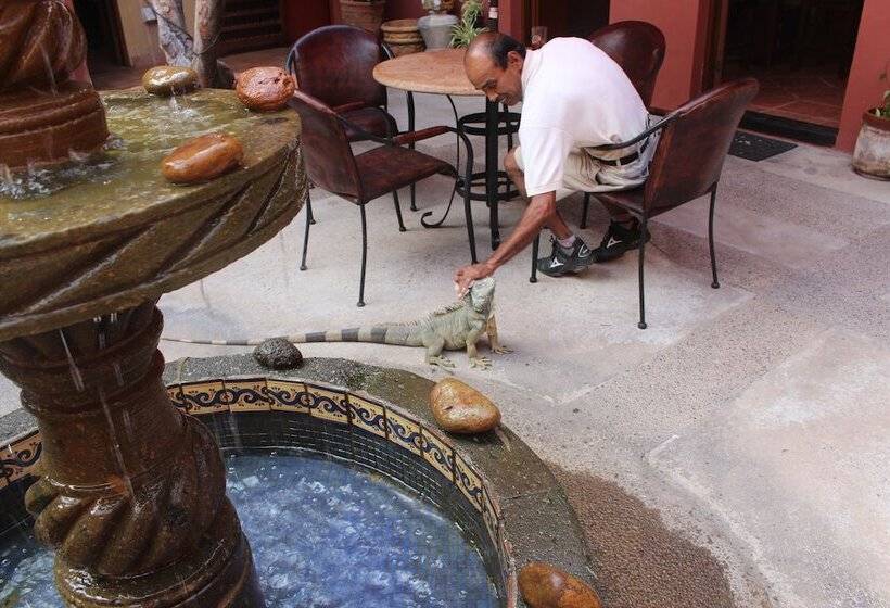 בית מלון כפרי Casa De Leyendas