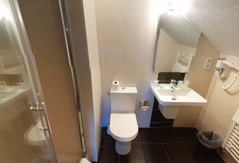 בית מלון כפרי Contact Hôtel   Hôtel Le Lion D Or Lamballe