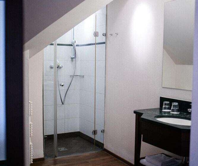 فندق Friesachers Aniferhof