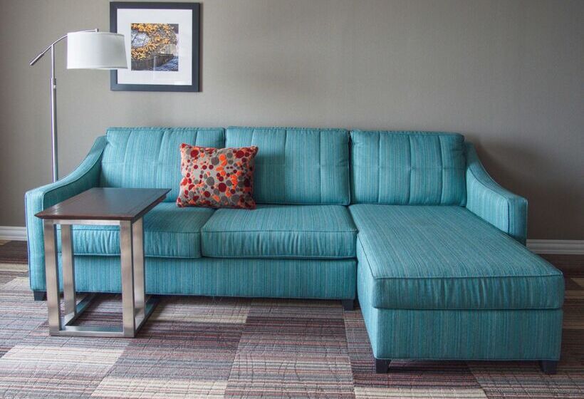 فندق Hampton Inn & Suites Moore