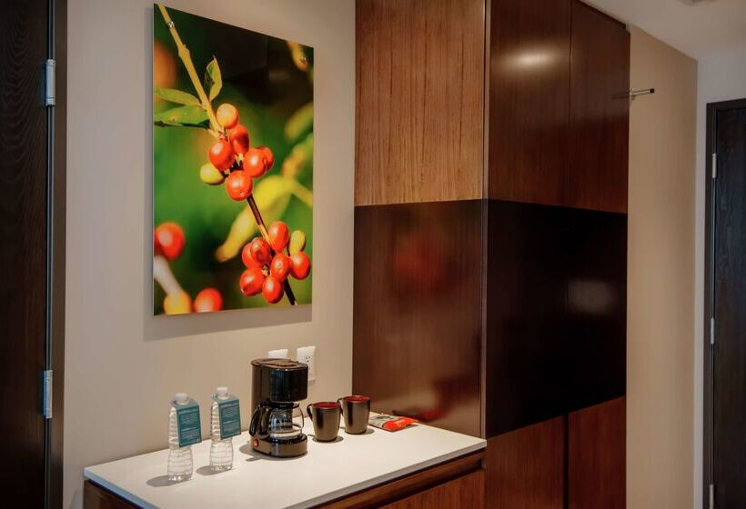 ホテル Hilton Garden Inn Puebla Angelópolis, Mexico