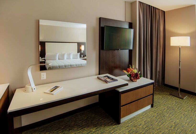 ホテル Hilton Garden Inn Puebla Angelópolis, Mexico