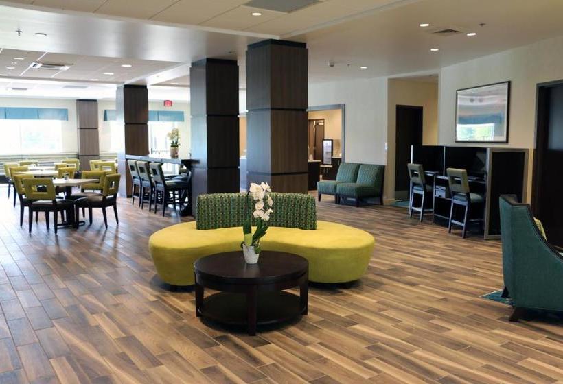 فندق Holiday Inn Express & Suites   Hendersonville Se   Flat Rock, An Ihg