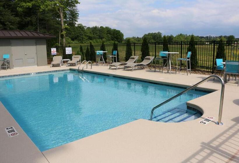 فندق Holiday Inn Express & Suites   Hendersonville Se   Flat Rock, An Ihg