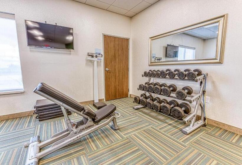 酒店 Holiday Inn Express & Suites Rantoul, An Ihg