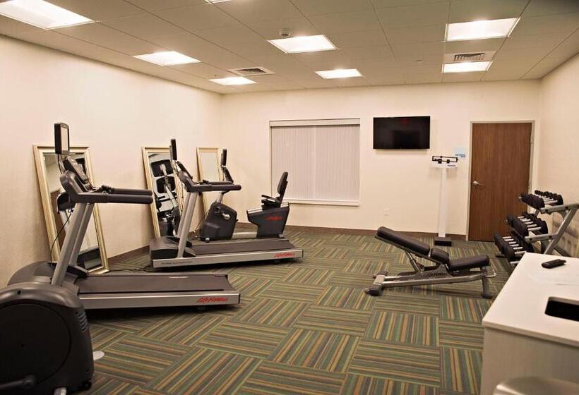 酒店 Holiday Inn Express & Suites Rantoul, An Ihg