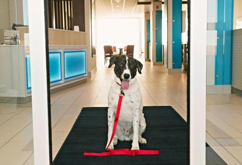 酒店 Holiday Inn Express & Suites Rantoul, An Ihg