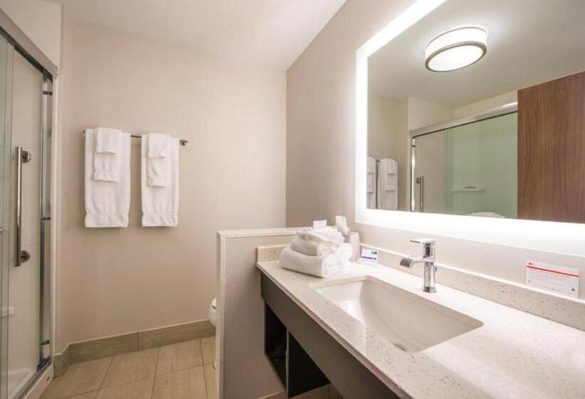 فندق Holiday Inn Express & Suites   Tampa North   Wesley Chapel, An Ihg