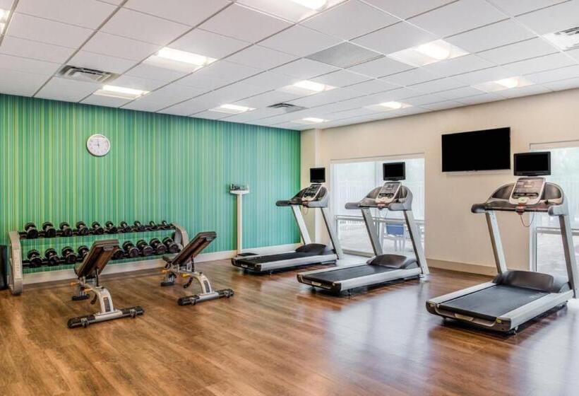 فندق Holiday Inn Express & Suites   Tampa North   Wesley Chapel, An Ihg