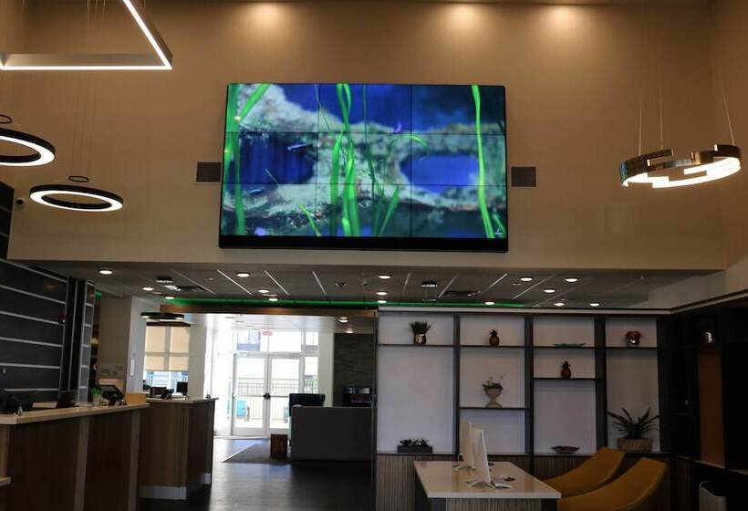 Отель Holiday Inn Jonesboro, An Ihg