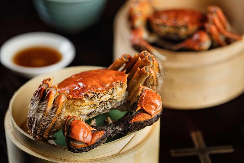 בית מלון כפרי Hyatt Regency Xi'an