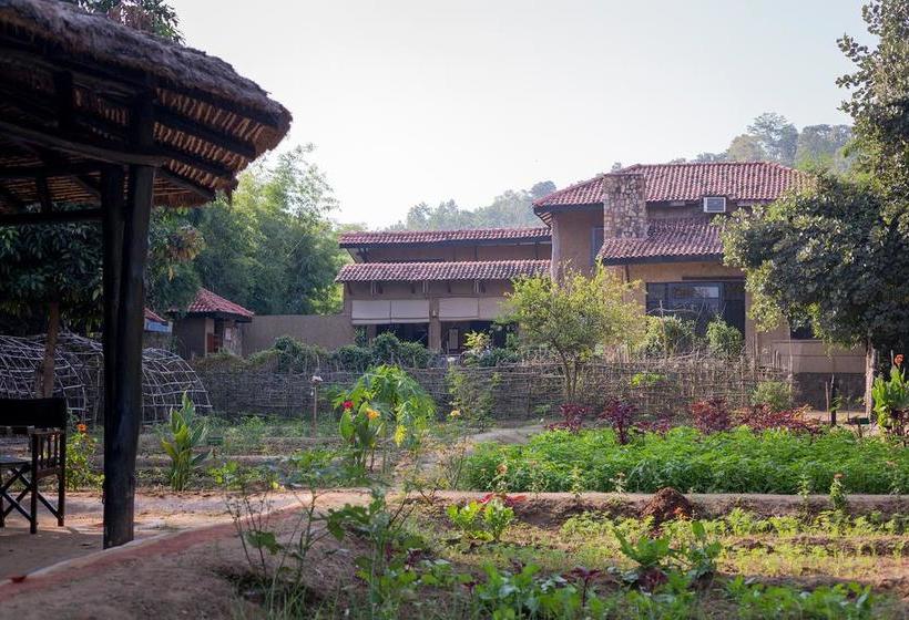 בית מלון כפרי Kings Lodge