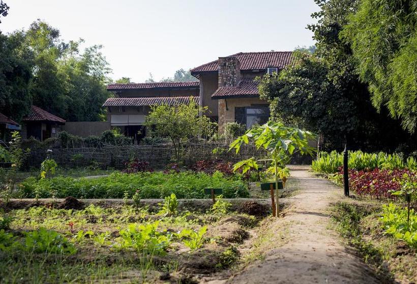 בית מלון כפרי Kings Lodge