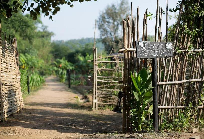 בית מלון כפרי Kings Lodge