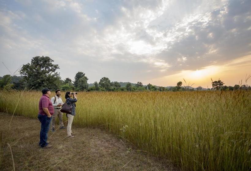בית מלון כפרי Kings Lodge