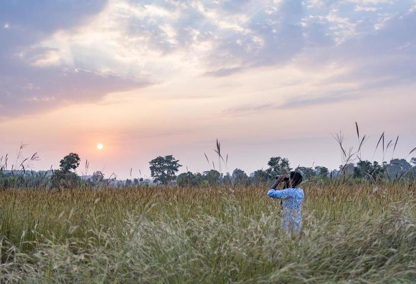 בית מלון כפרי Kings Lodge