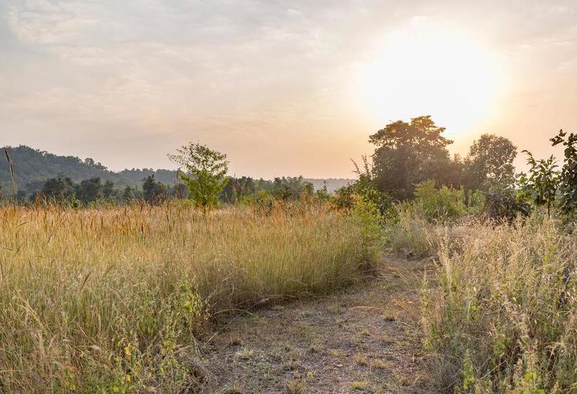 בית מלון כפרי Kings Lodge