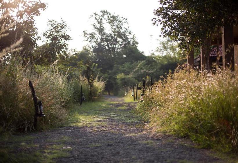 בית מלון כפרי Kings Lodge