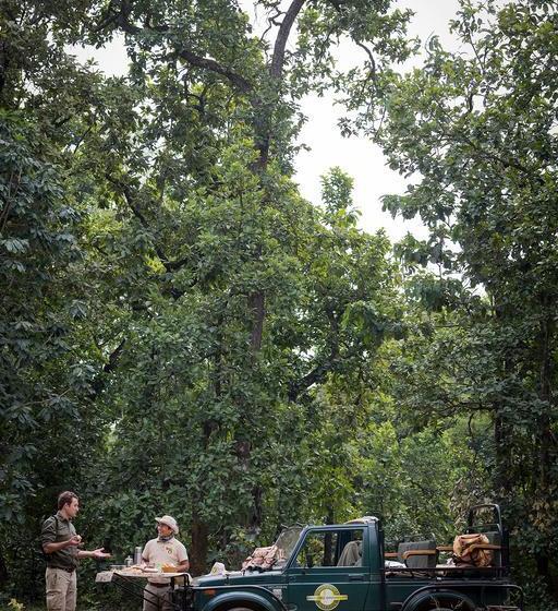 בית מלון כפרי Kings Lodge