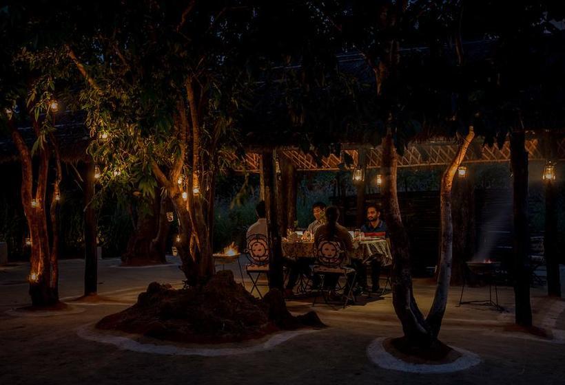 בית מלון כפרי Kings Lodge