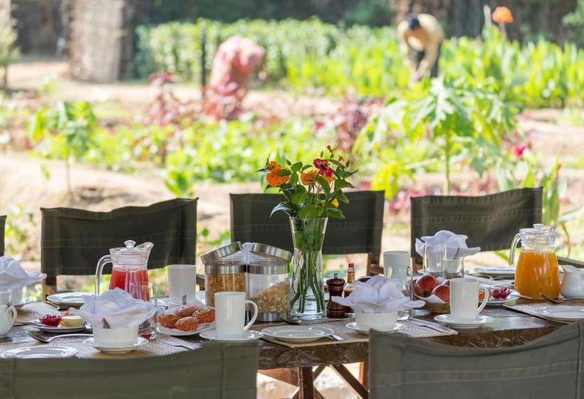 בית מלון כפרי Kings Lodge