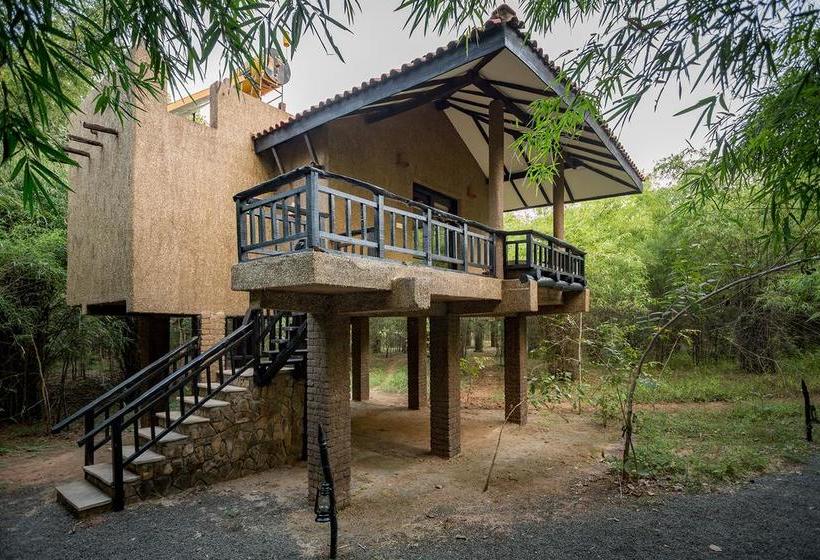 בית מלון כפרי Kings Lodge