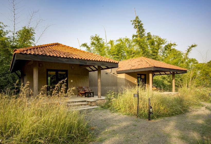 בית מלון כפרי Kings Lodge