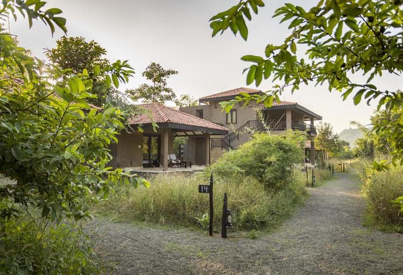 בית מלון כפרי Kings Lodge