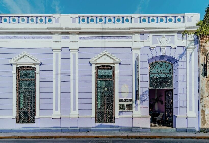 Отель Lavanda Cas Merida